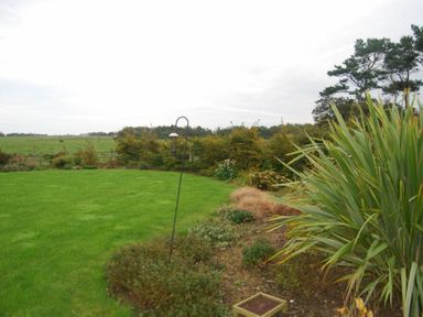 A garden with grass bushes and trees at Sea Breeze in Newton-by-the-Sea