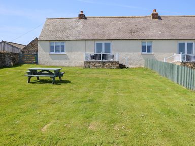 A grassy backyard with a picnic table and a row of cottages with small patios at Seaview Howick in Craster