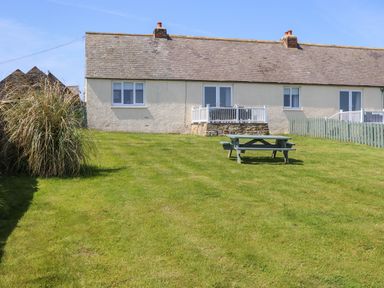 A grassy backyard with a wooden picnic table in front of a single-story house with white walls and a tiled roof at Seaview Howick in Craster