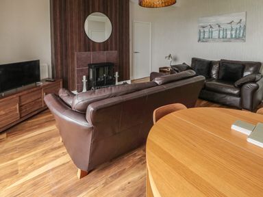A living room with brown leather sofas a wooden dining table a cabinet with a television a fireplace and a wall painting at Seaview Howick in Craster