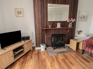 A living room with a television on a wooden stand a black stove on a rug a wooden side table with a lamp and a striped chair at South Cottage Howick in Craster