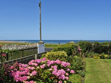 A garden with pink flowers green bushes and a lawn overlooking the sea with a road and a wooden fence at Ty y Mor in Seahouses