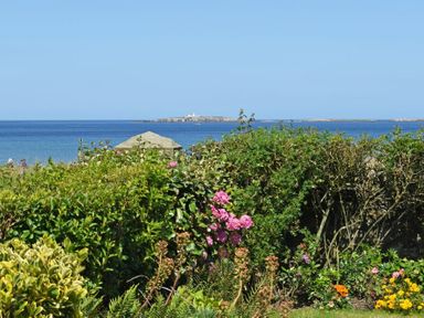 A garden with bushes and flowers overlooking the sea with an island in the background at Ty y Mor in Seahouses