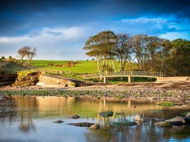 A river with rocks in the water and a small bridge over it with green fields and trees in the background at Sugar Sands in Longhoughton