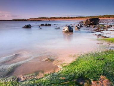 A shoreline with rocks and green seaweed at Sugar Sands in Longhoughton