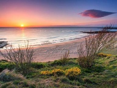 A beach with a sunset over the sea and grassy foreground with bushes at Sugar Sands in Longhoughton