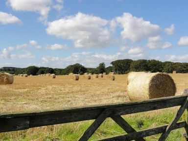 A field with hay bales and a wooden fence under a cloudy sky at Sugar Sands in Longhoughton