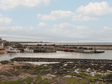 A harbor with fishing boats docked along concrete piers and rocky shore at The Boathouse (Seahouses) in Seahouses