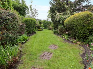A garden pathway with grass and bushes on both sides at The Book House in Warkworth
