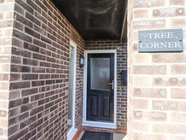 A black entrance door with a frosted glass panel and a wall light beside a window at Tree Corner in Beadnell