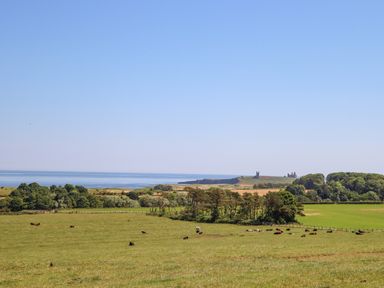A grassy field with cows and trees with a view of a coastline and ruins in the distance at The Lookout Embleton