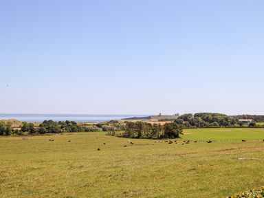 A grassy field with cows and a distant coastline with ruins at No6 Sea Lane in Embleton