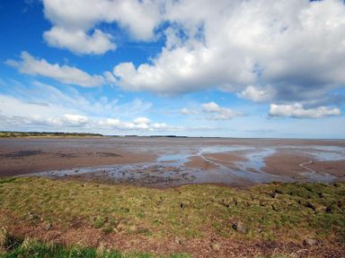 A coastal landscape with grassy foreground and tidal mudflats under a cloudy sky at The Arches in Bamburgh