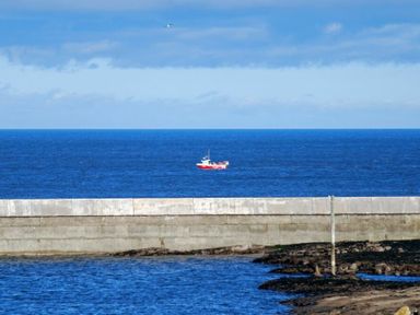 A red and white boat on blue ocean behind a concrete sea wall with rocky shore in the foreground at Farne Lookout in Seahouses