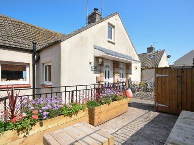 An outdoor patio area with wooden planters with flowers in front of a cream house at Farne Lookout in Seahouses