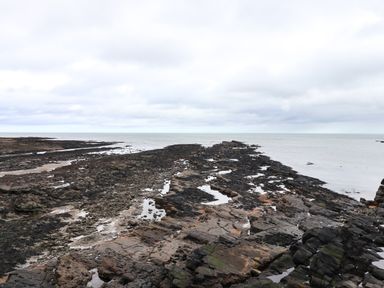 A rocky shoreline with tide pools and the sea in the background at Barnacle Cove in Beadnell