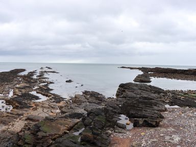 A rocky shoreline with tidal pools and a calm sea under a cloudy sky at Barnacle Cove in Beadnell