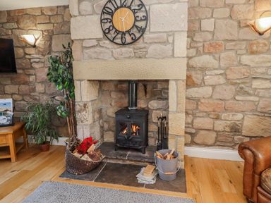 A living room with a fireplace and clock at Greenfinch in Lucker