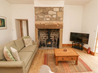 A living room with a stone fireplace a green sofa a wooden coffee table and a television at Adderstone Cottage in Bamburgh