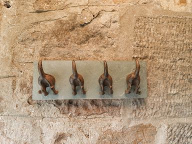 Four dog tail hooks mounted on a stone wall at Adderstone Cottage in Bamburgh