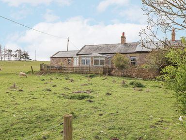 A farmhouse with a glass conservatory and grazing sheep in a fenced grassy field at Adderstone Cottage Bamburgh