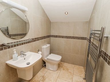 A bathroom with a sink, toilet, and mirror at Goosander in Bamburgh