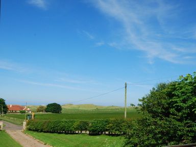 A rural landscape with grassy fields shrubs and houses under a blue sky at Quarry Mews Bamburgh