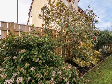 A garden area with flowering shrubs and a wooden fence at Arcadie in Amble