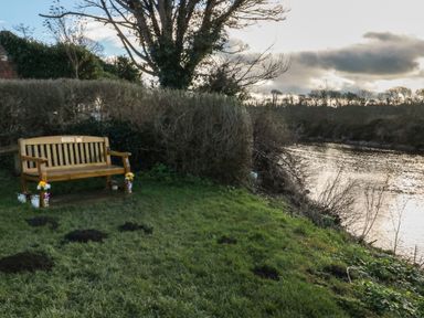 A wooden bench on grass near a river with flowers and trees at Riverside Cottage in Warkworth