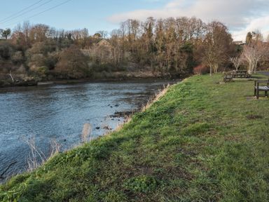 A grassy riverbank with benches and picnic tables near water and trees at Riverside Cottage in Warkworth