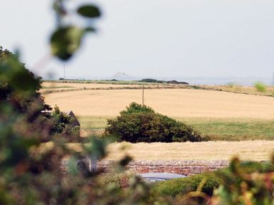 A rural field with a stone wall and some bushes with a distant building in the background at Stone Cottage in Bamburgh