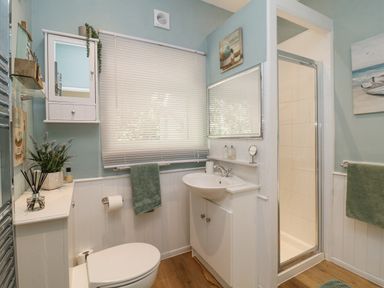 A bathroom with a toilet sink cabinet shower and green towels at Raven Cottage in Downderry