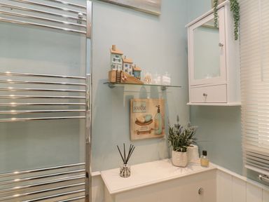 A bathroom corner with a chrome towel rack a glass shelf holding decorative jars and houses a wall cabinet with a mirror and a white countertop with a potted plant and toiletries at Raven Cottage in Downderry