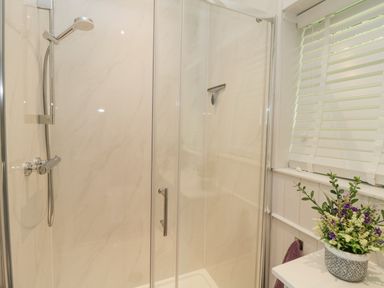 A shower enclosure with glass doors a showerhead and a potted plant on a counter near a window with blinds at Raven Cottage in Downderry