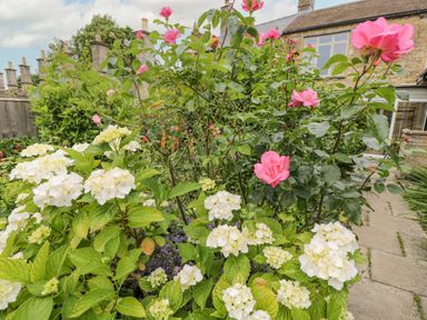 A garden with white and pink flowers next to a stone house at 2 Church Street in Chipping Norton