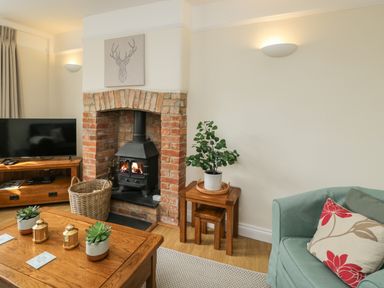 A living room with a brick fireplace wood stove television wooden tables plants and a green sofa with a floral cushion at 2 Church Street in Chipping Norton