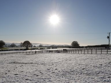 A snowy field with fences and trees under a clear sky at Palace Farmhouse in St Weonards