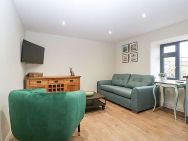 A living room with a green armchair a blue sofa wooden cabinet and a wall-mounted television at Palace Farmhouse in St Weonards