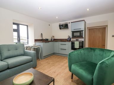 A kitchen and living area with green armchairs and wooden flooring at Palace Farmhouse in St Weonards
