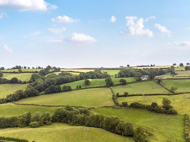 A landscape with fields and trees at Bwncath in Garthmyl