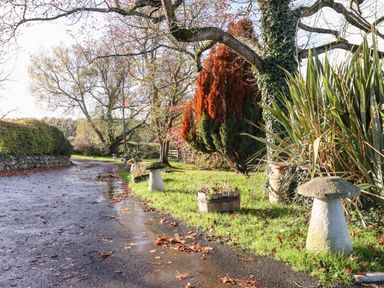 A paved road with fallen leaves alongside grass, trees, shrubs, and stone and wooden garden features