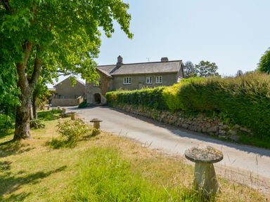 A driveway leading to a farmhouse with trees and shrubs on either side at Twelve Oaks Farmhouse in Teigngrace near Newton Abbot