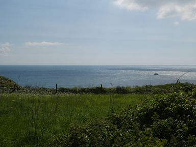 A grassy field with bushes and a fence overlooking the ocean with a boat on the water at Fisherman's Cottage in Southwell