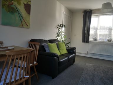 A living room with a black leather sofa with green and gray cushions a wooden dining table with chairs a tall green plant and a window with dark curtains at Cliffwalk Cottage in Southwell