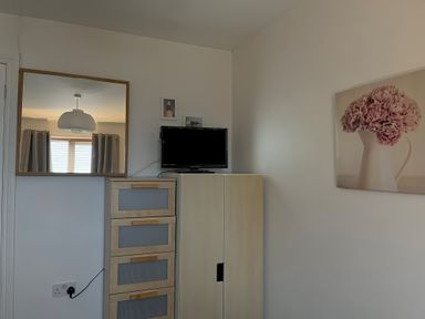 A corner of a room with a chest of drawers topped by a small television a large mirror on the wall and a painting of flowers at Cliffwalk Cottage in Southwell