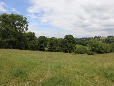 A grassy field with trees under a partly cloudy sky at Meadow Syke Barn in Bampton Cumbria