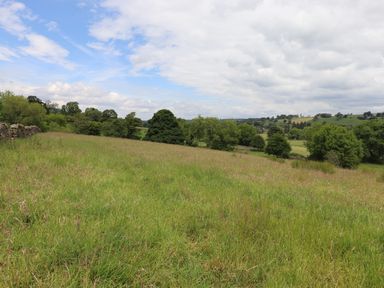 A grassy field with trees scattered in the background under a partly cloudy sky at Meadow Syke Barn in Bampton Cumbria