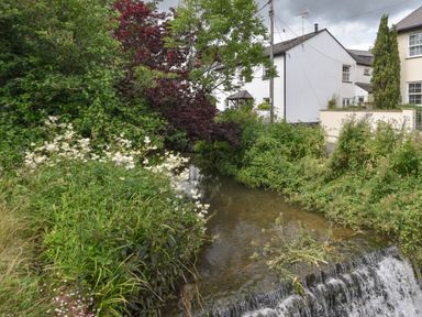 A small river with a waterfall surrounded by greenery and houses in the background at River Lym Cottage in Lyme Regis