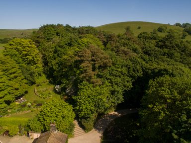 A wooded garden area with trees and a curved pathway at The Lodge in Hartlington near Grassington