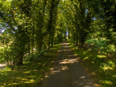 A tree-lined paved path with grass and a wooden fence at The Lodge in Hartlington near Grassington